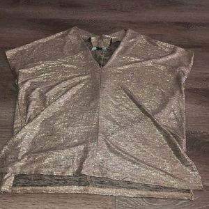 NWT Karlie Metallic V Neck!